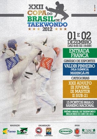 Copa do Brasil 2012